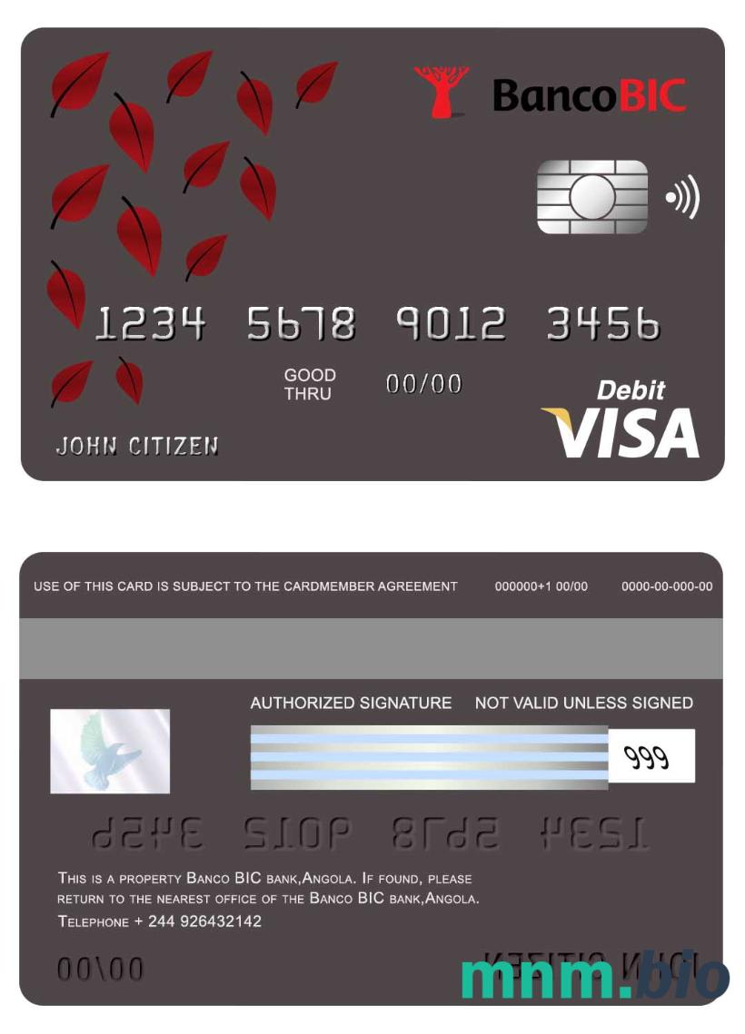Angola Banco BIC bank przykład karty visa w formacie PSD